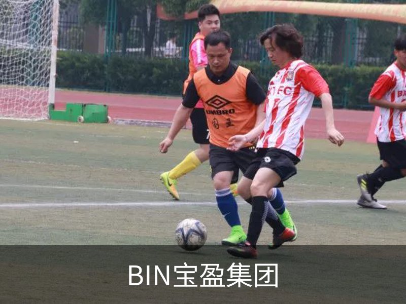 BIN宝盈集团介绍
